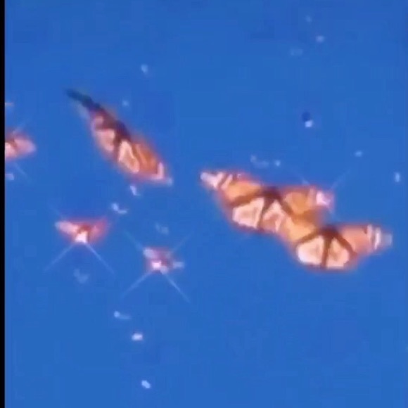 Meet your Posher, Blait - Picture 1 of 1